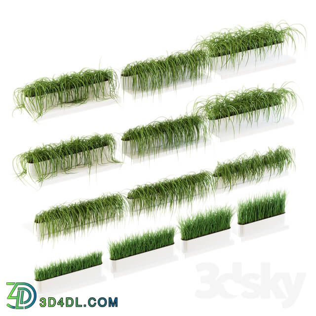 Plant - Grass for shelves. 13 models of v2