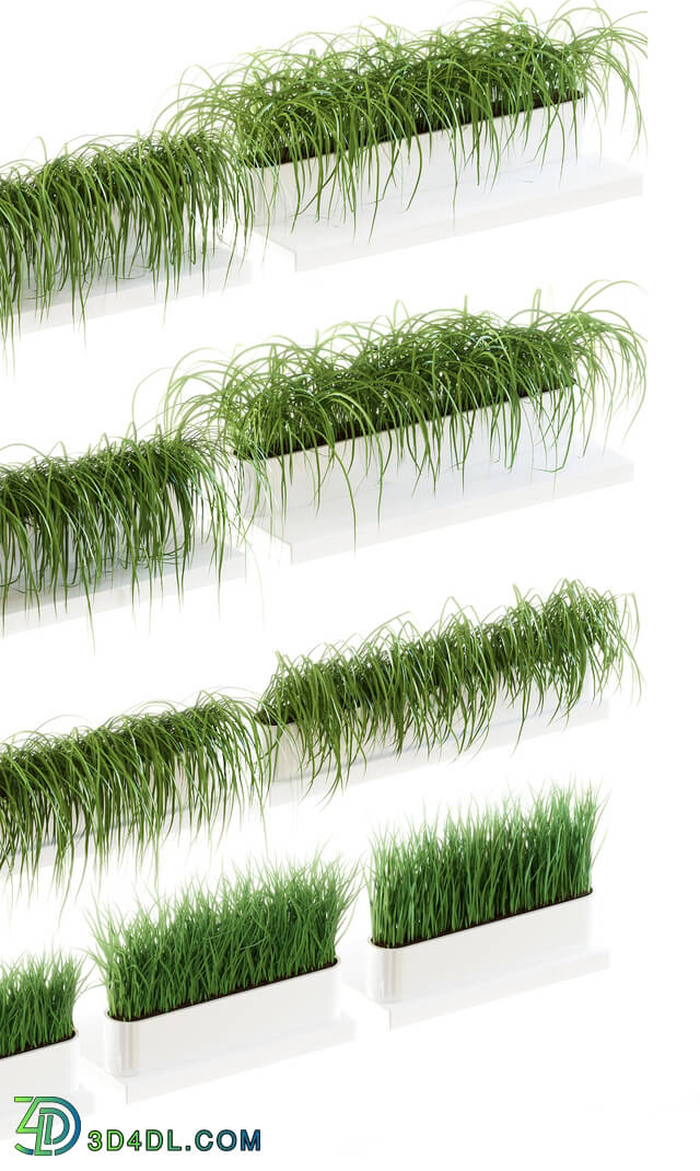 Plant - Grass for shelves. 13 models of v2