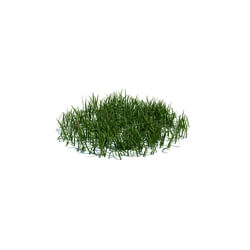 ArchModels Vol124 (107) simple grass medium v2 