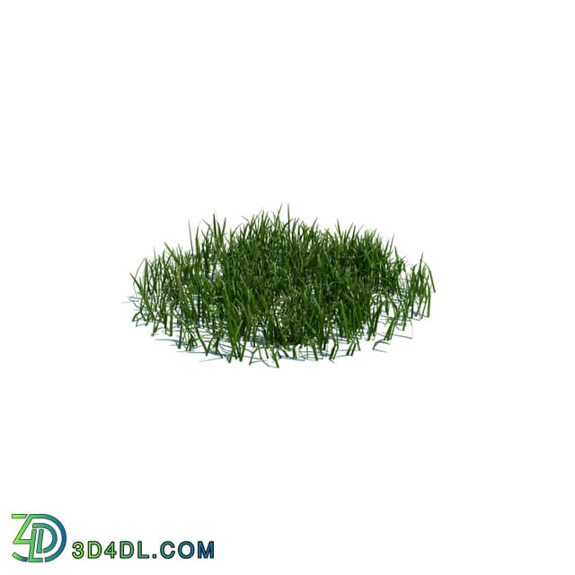 ArchModels Vol124 (107) simple grass medium v2