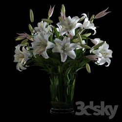 Plant - Lilies in a Vase 