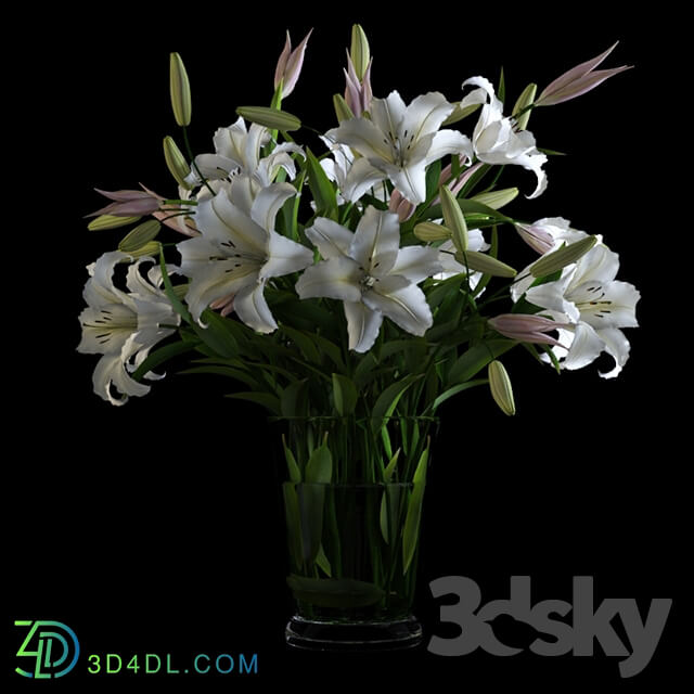 Plant - Lilies in a Vase