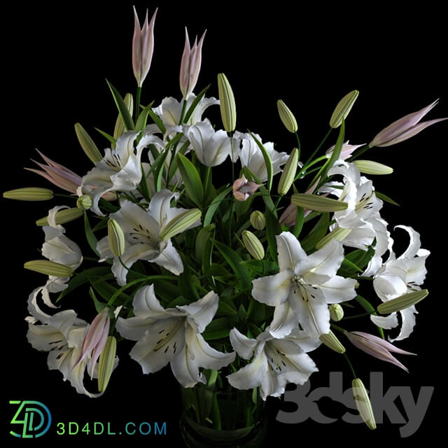 Plant - Lilies in a Vase