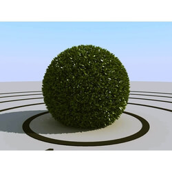 3dMentor HQPlants-01 (039) bush ball 