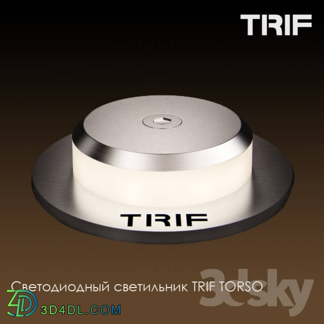 Spot light - LED lamp TORSO TRIF