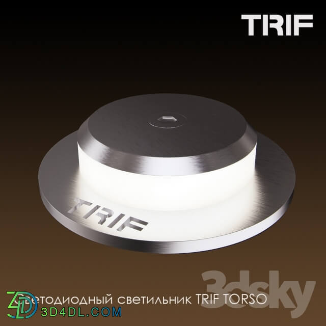 Spot light - LED lamp TORSO TRIF