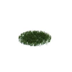 ArchModels Vol126 (014) simple grass medium v2 