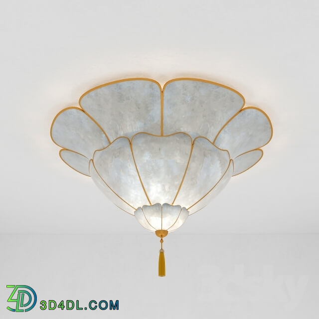 Ceiling light - Light Chandelier_ethnic