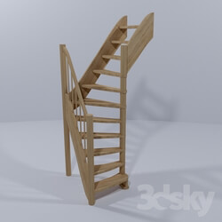 Staircase - Ladders rotatable by 90 _ ЛС-91_ universal 