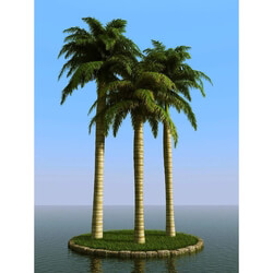 3dMentor HQPalms-03 (56) royal palm 