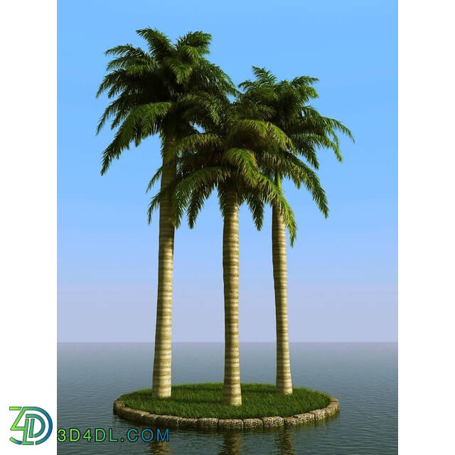 3dMentor HQPalms-03 (56) royal palm