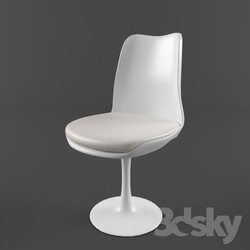 Chair - Plastic chair with leather cushion 