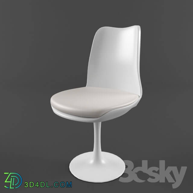 Chair - Plastic chair with leather cushion