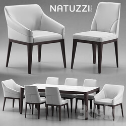 Table _ Chair - Table and chairs Natuzzi minerva_ Saturno_ Vesta 