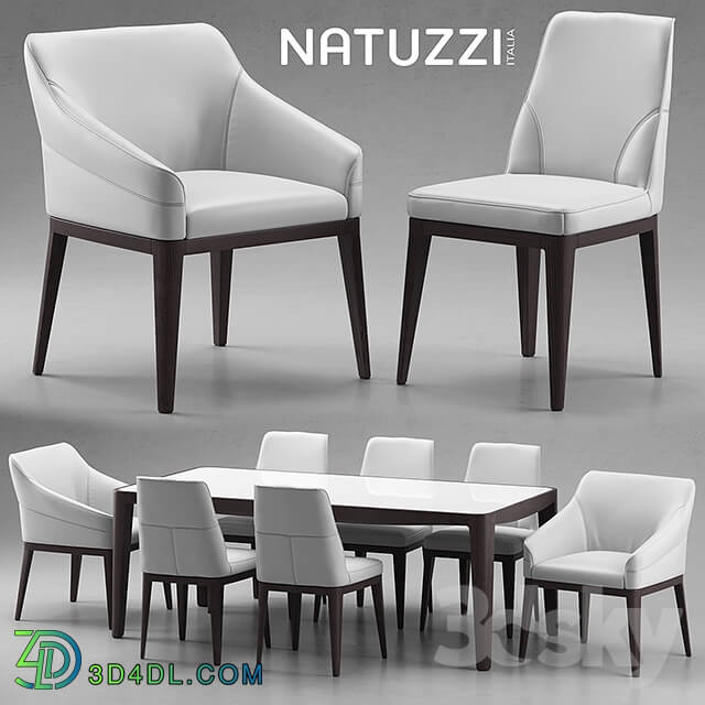 Table _ Chair - Table and chairs Natuzzi minerva_ Saturno_ Vesta