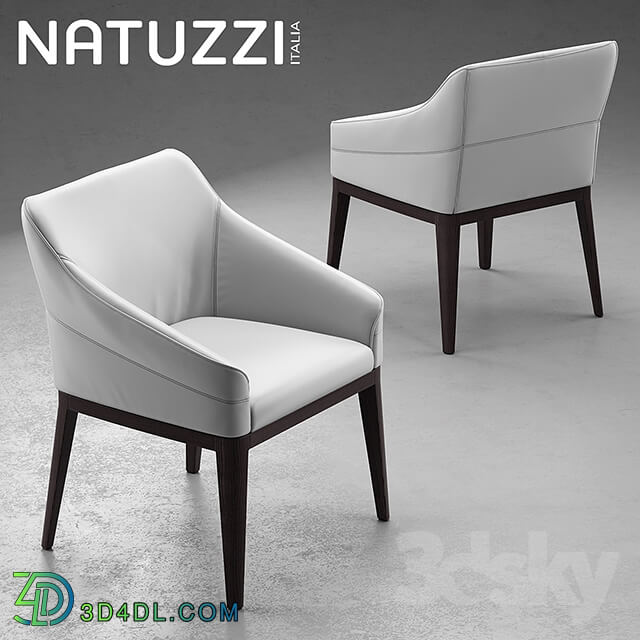 Table _ Chair - Table and chairs Natuzzi minerva_ Saturno_ Vesta