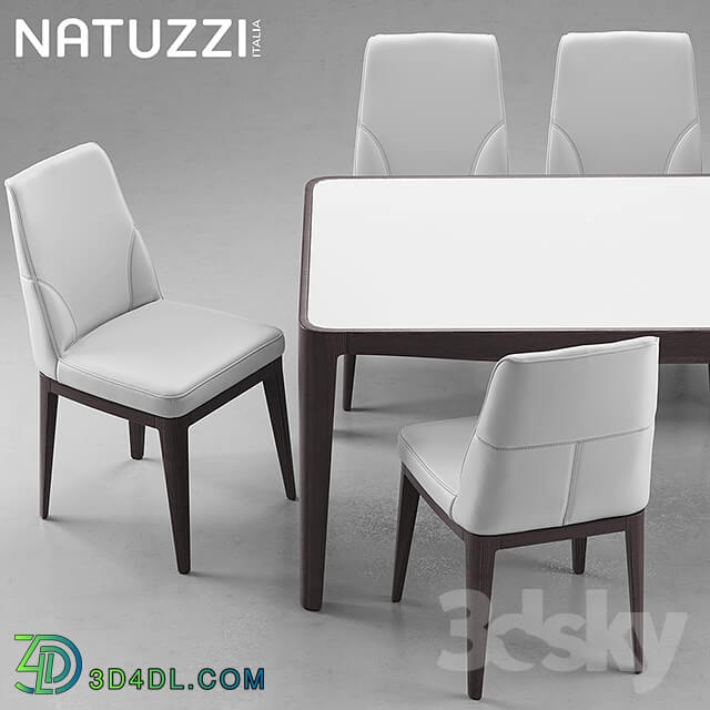 Table _ Chair - Table and chairs Natuzzi minerva_ Saturno_ Vesta