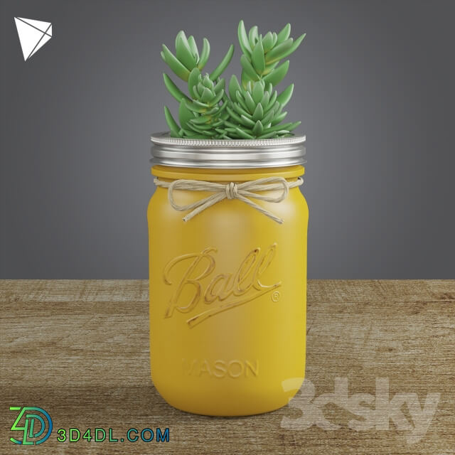 Plant - Pot Ball Mason Jar Succulent