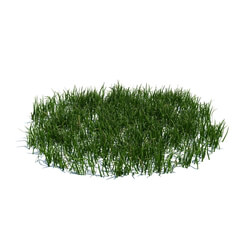 ArchModels Vol124 (108) simple grass large v3 