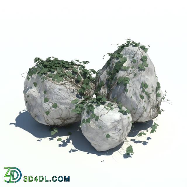 ArchModels Vol126 (140) rocks n ivy v2