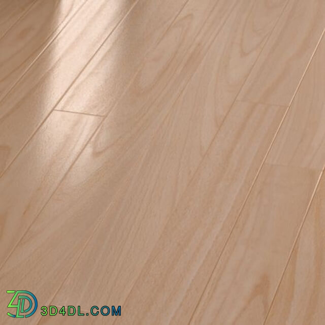 Arroway Wood-Flooring (034)