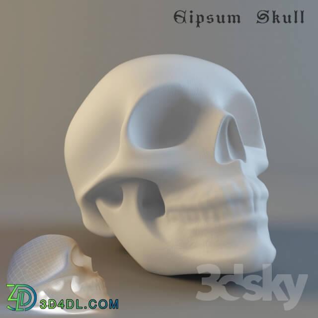 Miscellaneous - Plaster skull