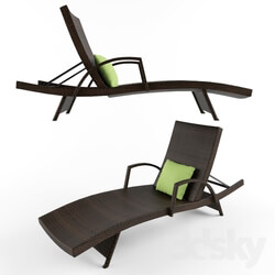 Other - Peyton Adjustable Wicker Chaise Lounge 