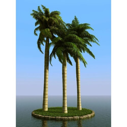 3dMentor HQPalms-03 (57) royal palm wind 