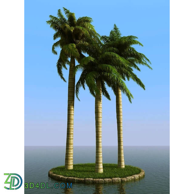3dMentor HQPalms-03 (57) royal palm wind