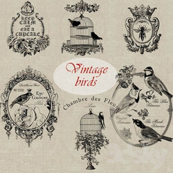 Miscellaneous - Collection of vintage pictures _birds_ 