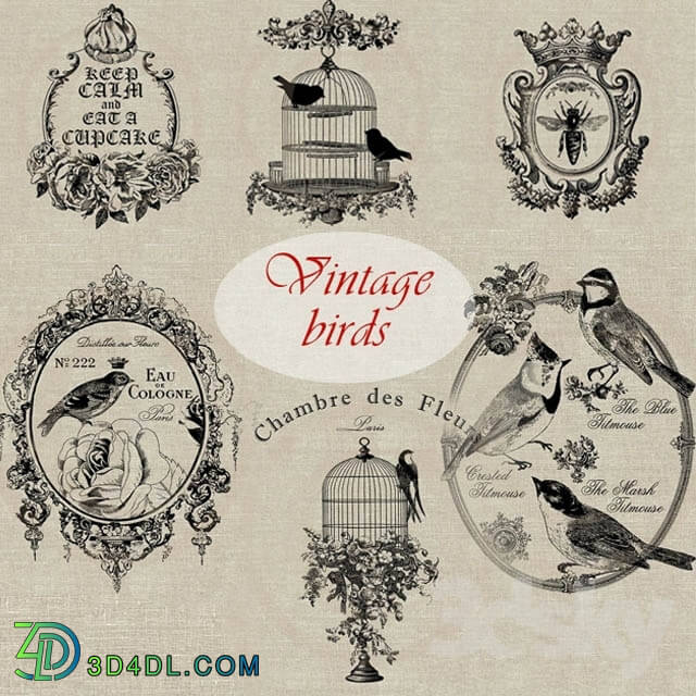 Miscellaneous - Collection of vintage pictures _birds_