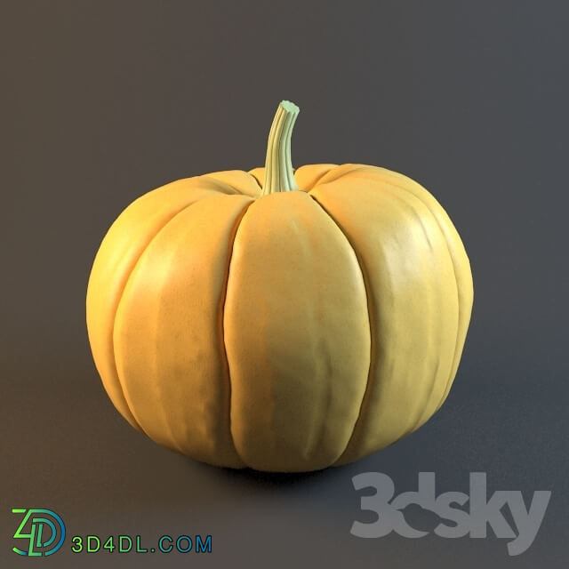 Plant - Pumpkin