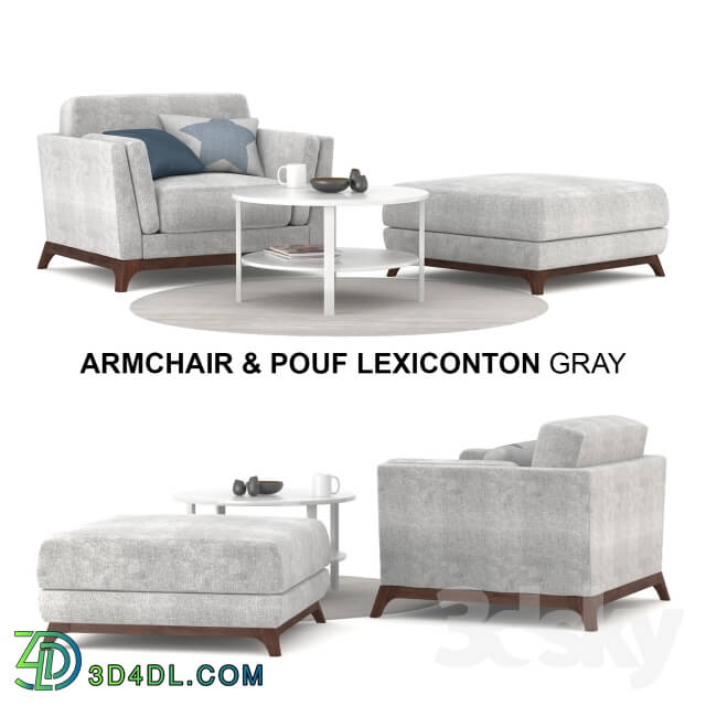 Arm chair - Armchair _ Pouf Lexiconton GRAY