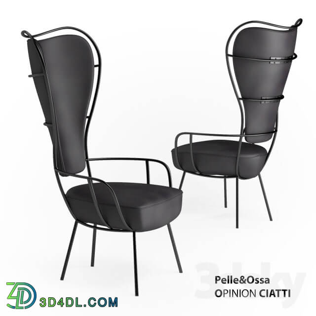 Chair - Pelle_Ossa OPINION CIATTI