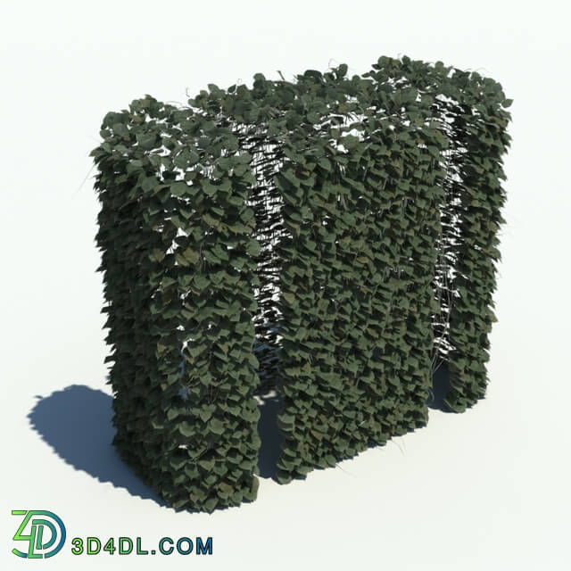 ArchModels Vol126 (142) hedge v1