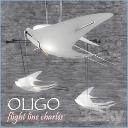 Ceiling light - OLIGO flight line Charles 