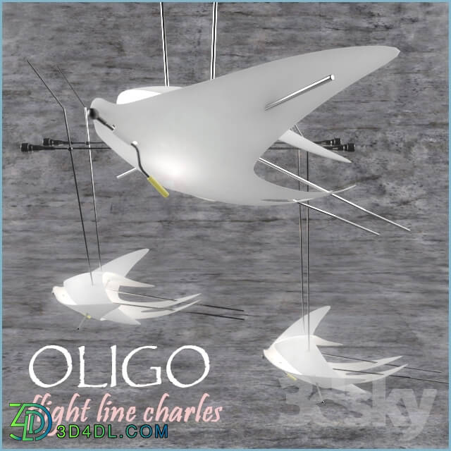 Ceiling light - OLIGO flight line Charles