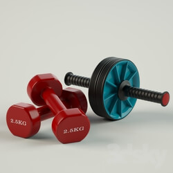 Sports - Roller and dumbbells 