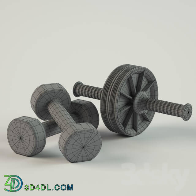 Sports - Roller and dumbbells