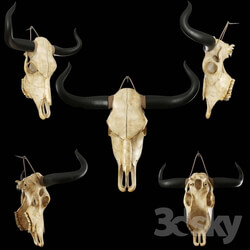 Other decorative objects - Cow skull 
