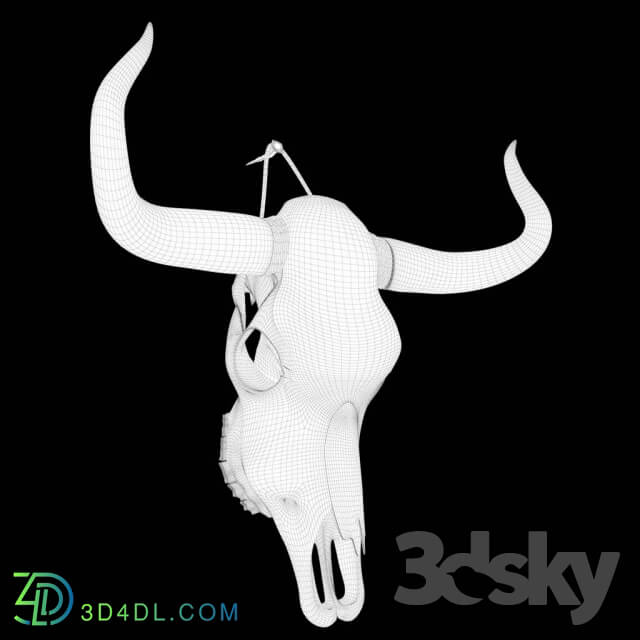 Other decorative objects - Cow skull