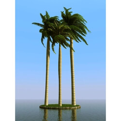 3dMentor HQPalms-03 (59) royal palm wind 