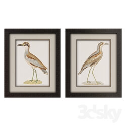 Frame - Framed Seabird Wall Art Collection 