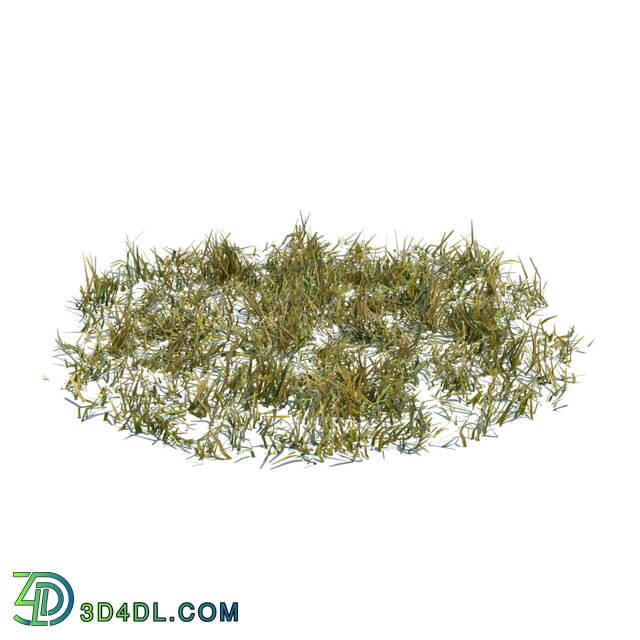 ArchModels Vol124 (111) simple grass large v3