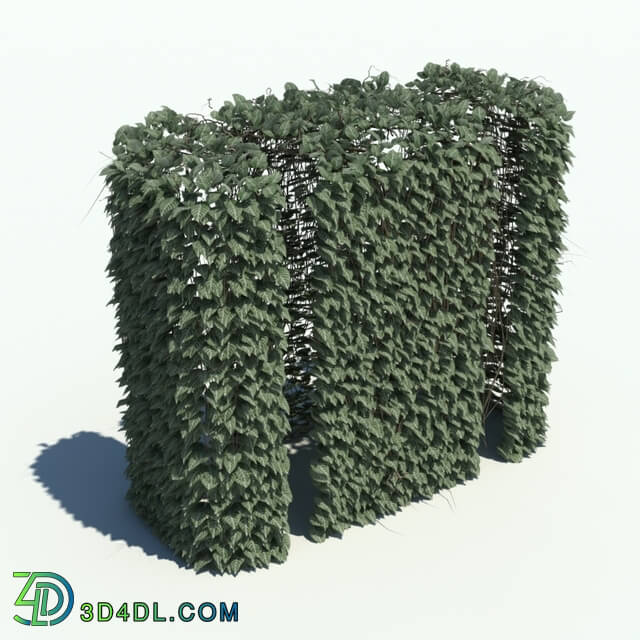 ArchModels Vol126 (143) hedge v2