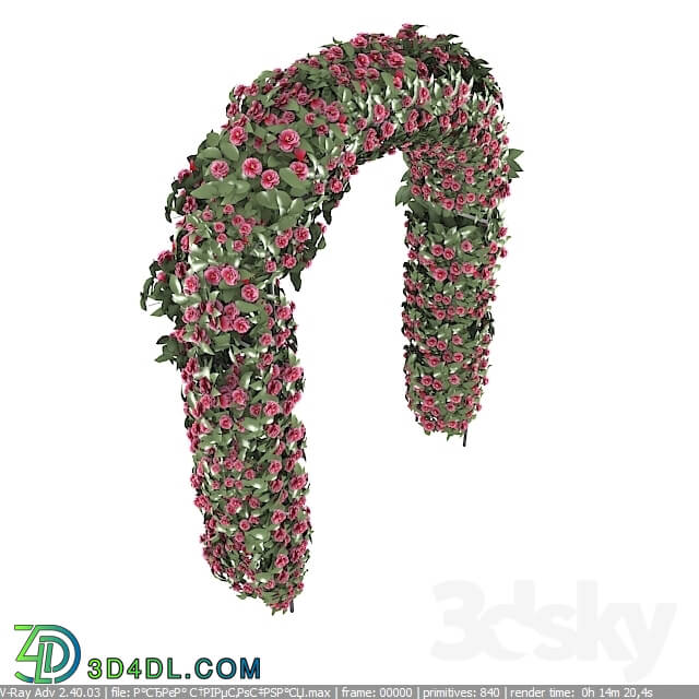 Plant - Floral arch