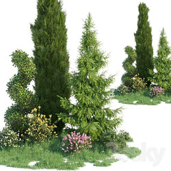 Plant - Set for landscaping 4 