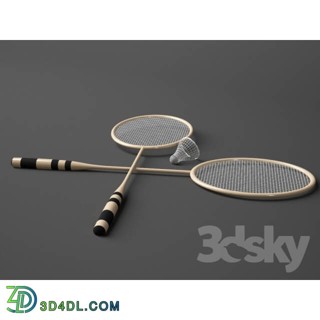 Sports - badminton racket