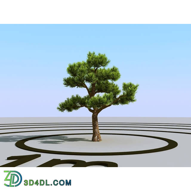 3dMentor HQPlants-02 (001) bonsai pine
