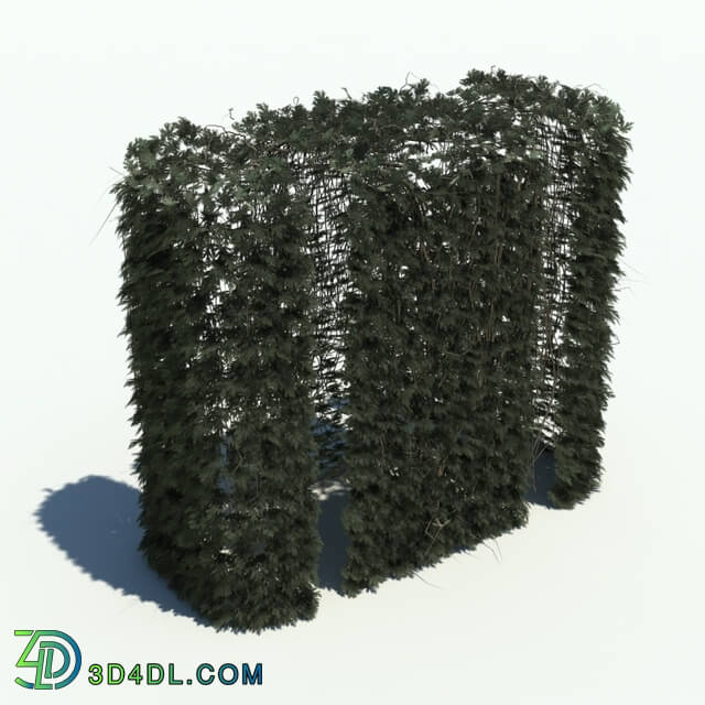 ArchModels Vol126 (144) hedge v3